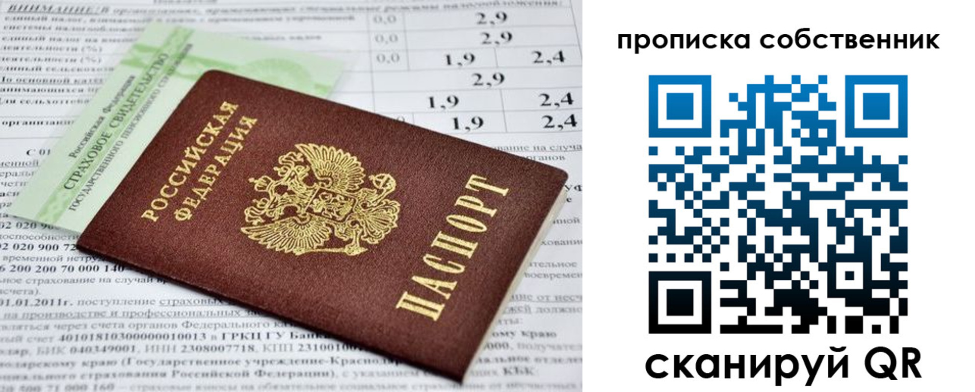 прописка 2025 в Кировске